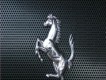 Ferrari Horse