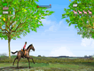 Horse Jumping