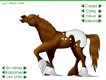 French Horse Designer