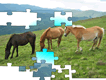 Horses In The Mountain