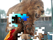 Lion Riding Horse