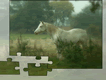 Magic Horse Jigsaw