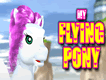 My Flying Pony