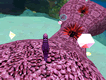 Sea Horse Round Up
