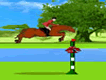 ShowJumping Training ShowJumping Training