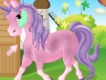 Caring Horse Owner Caring Horse Owner