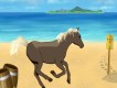 Clammy Beach Horse Clammy Beach Horse