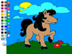 Color Horse