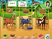 Horse Care Apprenticeship 