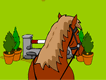 Horse Jumping and Riding