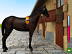 Horse Jumping 2 Horse Jumping 2