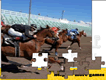 Horse Racing Puzzle Horse Racing Puzzle