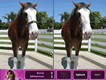 Horses Find The Differences