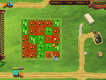 Little Farm Little Farm