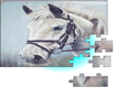 Painted White Horse Puzzle Painted White Horse Puzzle