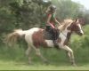 Horselover5548